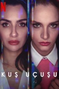 Полёт птицы